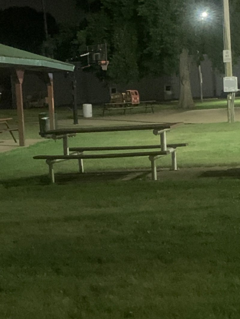walking near me in City Park in summer