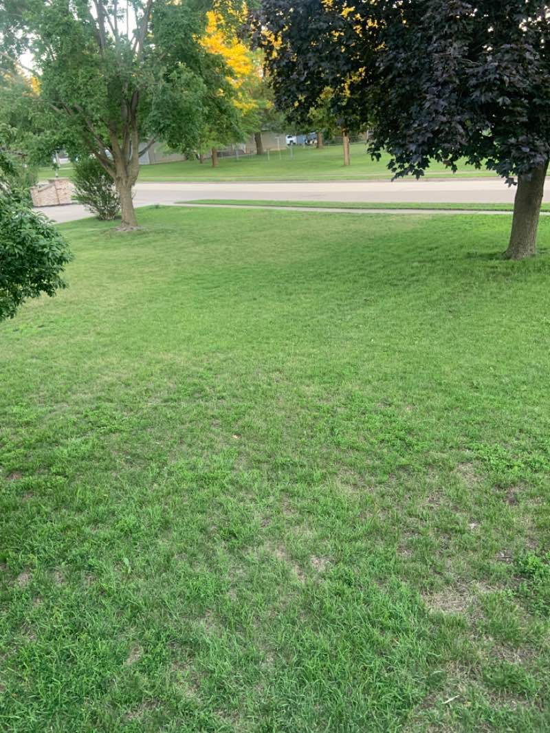 walking near me in Platt Park in summer