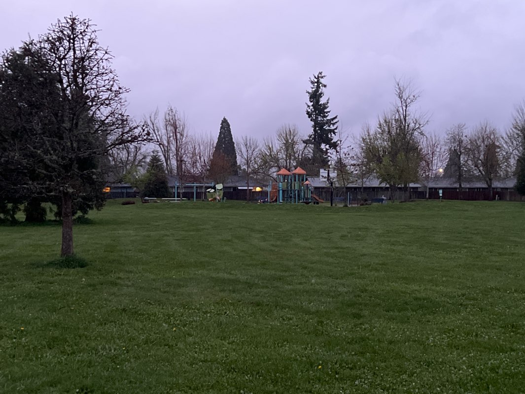 walking near me in Bluebelle Park in spring