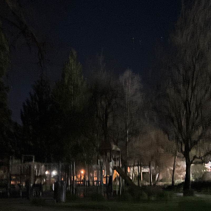 Karakal KariZma XotiKatz post 1