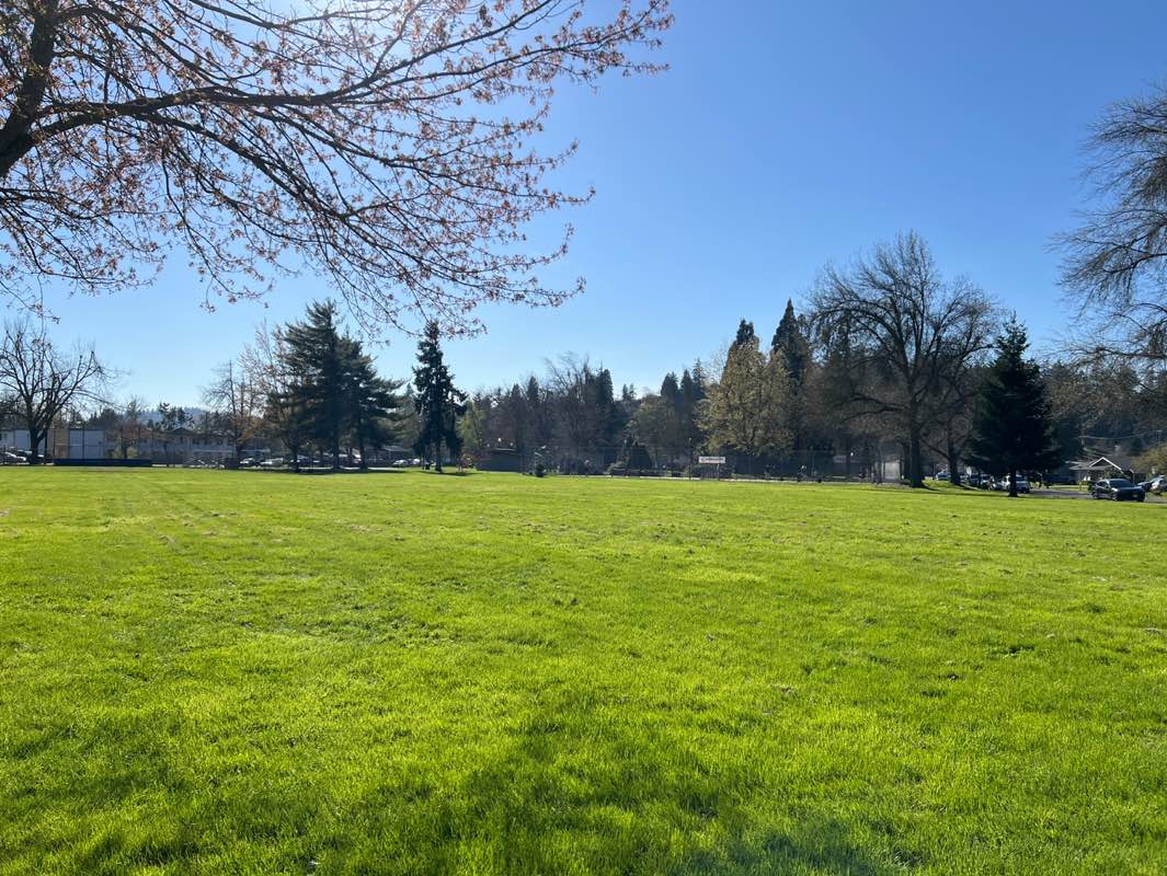walking near me in Meadow Park in spring