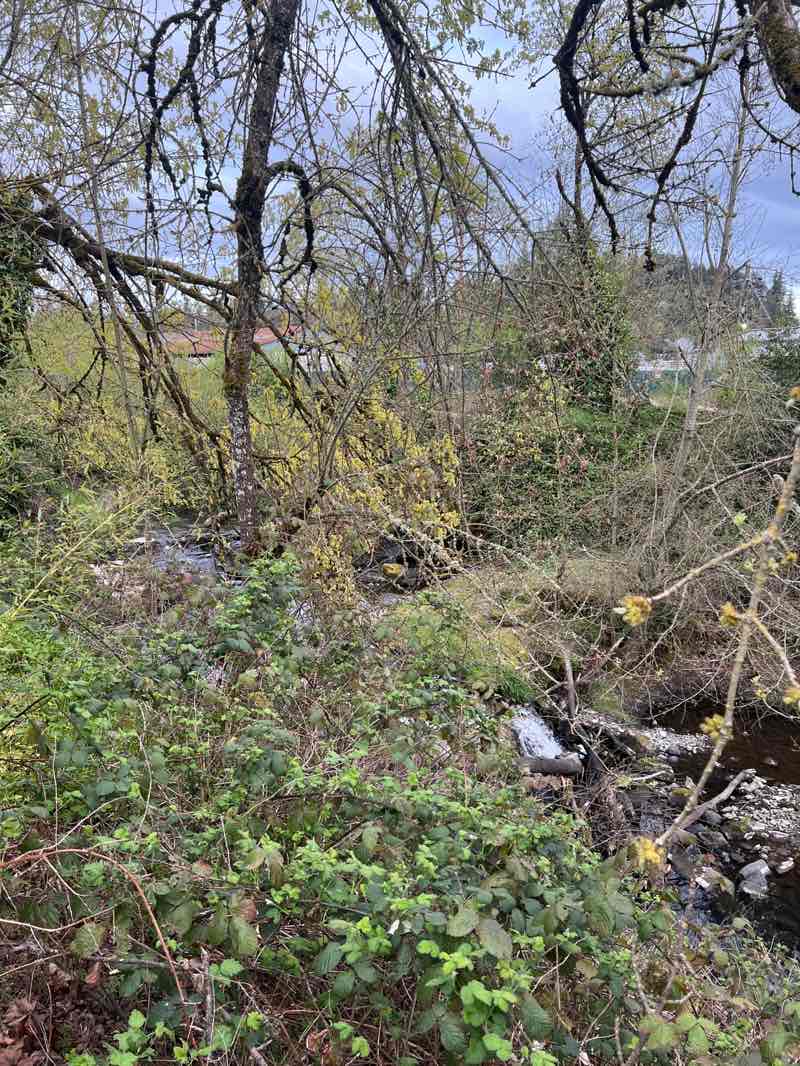 walking near me in Millrace Park in spring