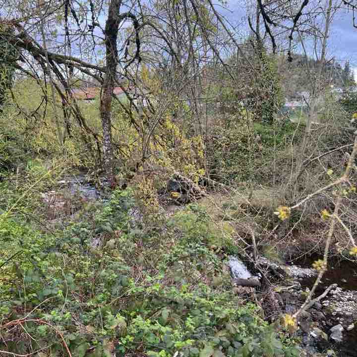 Karakal KariZma XotiKatz post 1