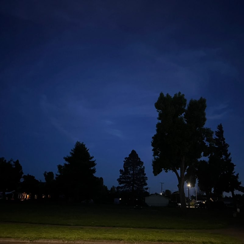 Karakal KariZma XotiKatz post 1