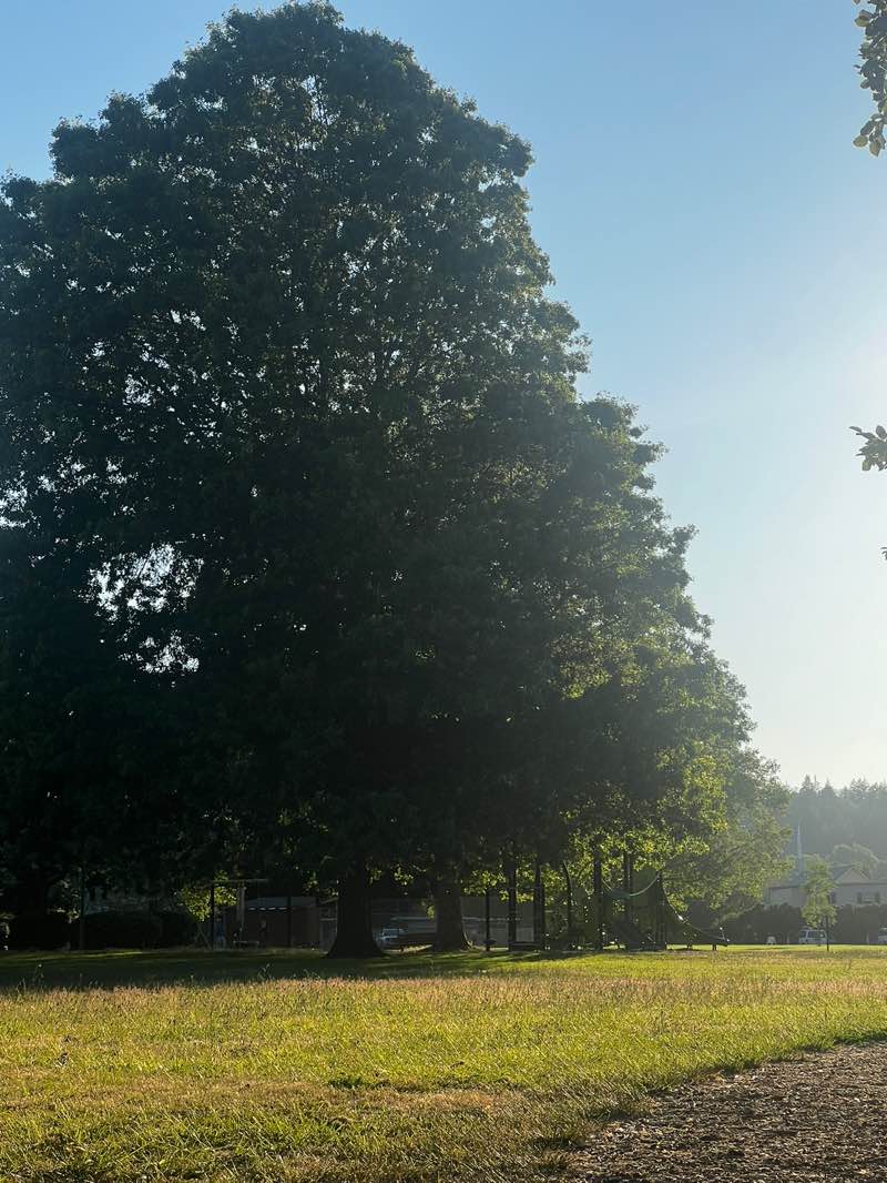 walking near me in Porter Park in summer