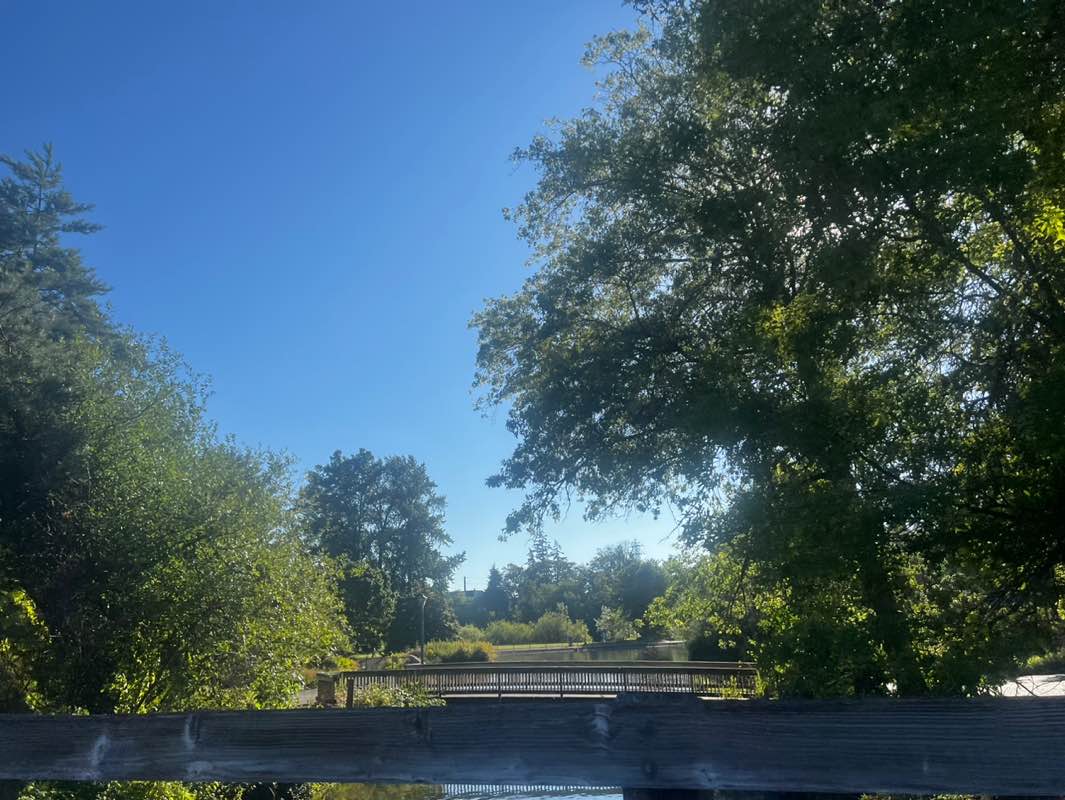 walking near me in Alton Baker Park in summer