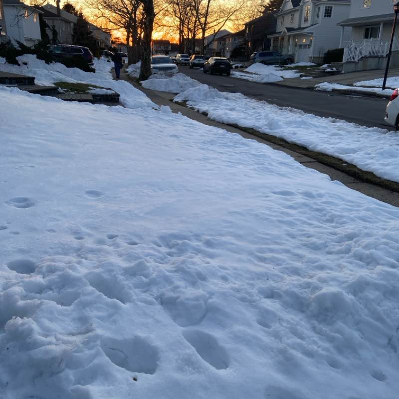 The Springtime Steppers 🌸🌺 Sara post image