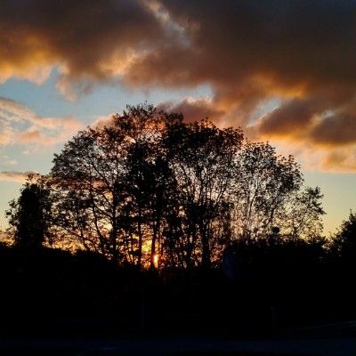 l amitié en marchant 🙋‍♀️⚘🌍 jean marc pays post image