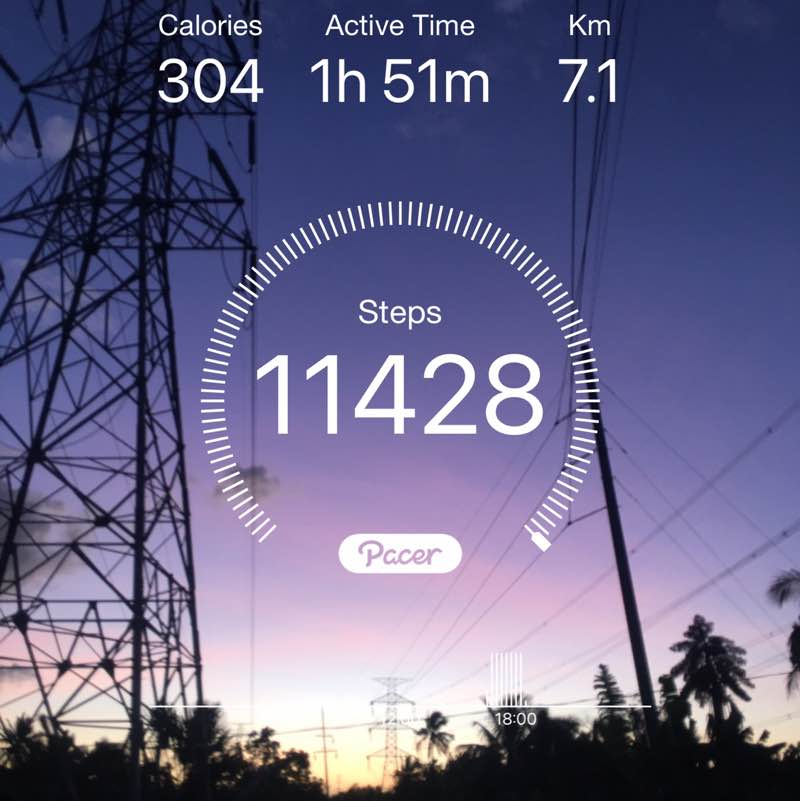 walk with zel 🍀 Engr. Zel post image