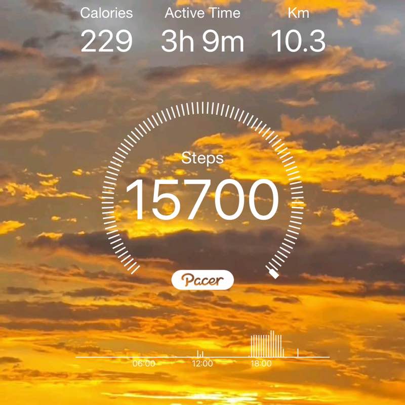 walk with zel 🍀 Engr. Zel post image