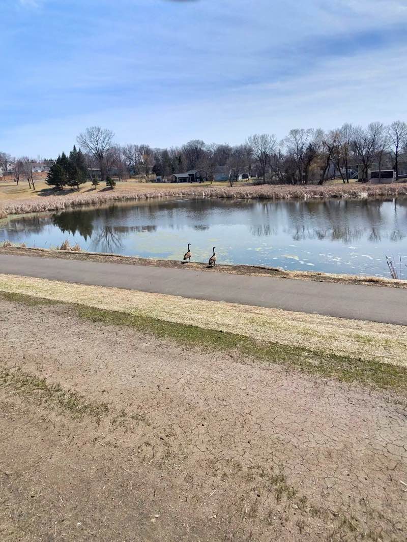 walking near me in Wildhurst Park in spring