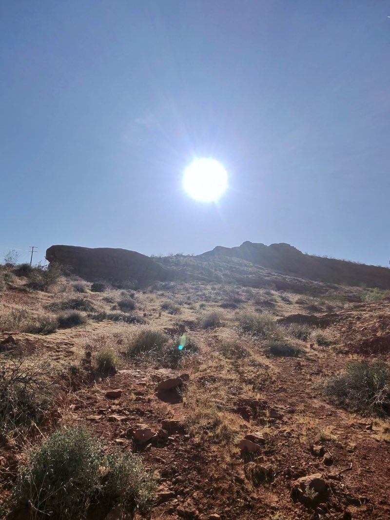 walking near me in Desert Garden Park in summer