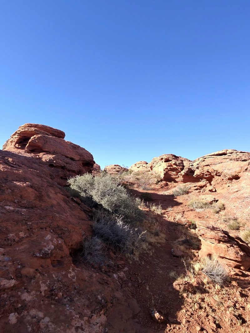 walking near me in Red Cliffs National Conservation Area in summer