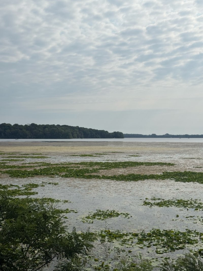 walking near me in Cedar Point Park in summer