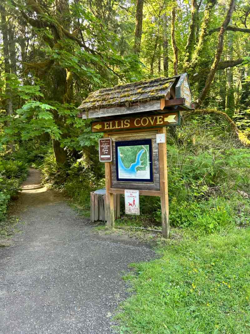 walking near me in Squaxin Park in summer