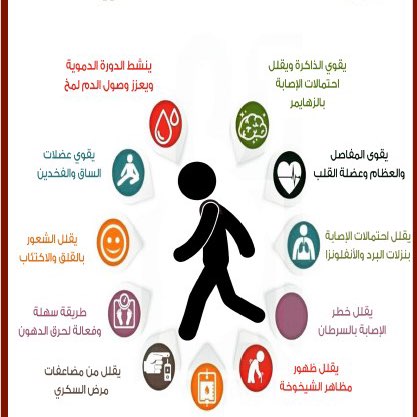 الحركة بركة Ahed post image