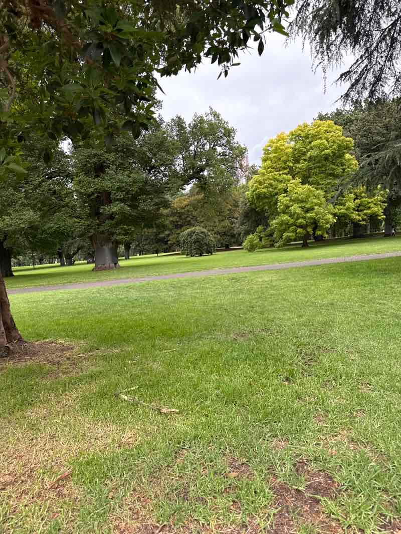 walking near me in Carlton Gardens in summer