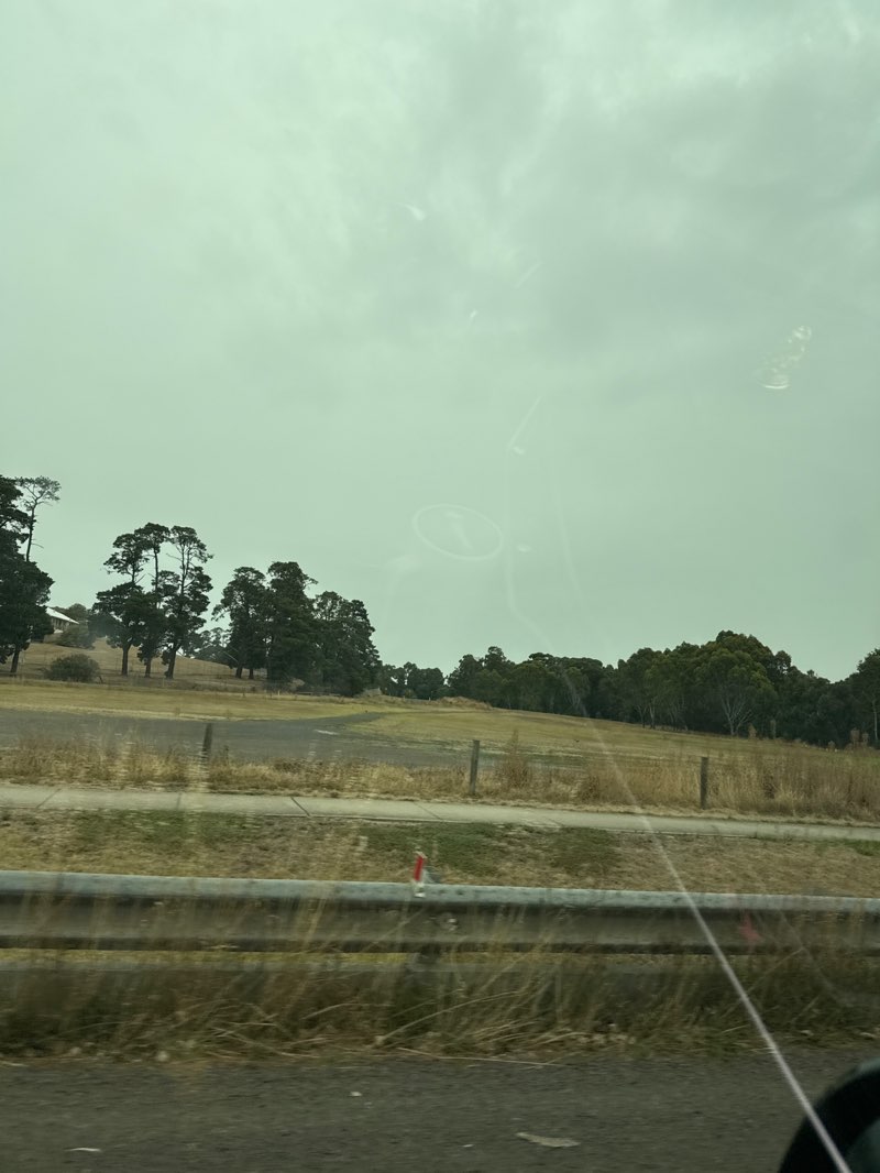 walking near me in Whittlesea Showgrounds in summer
