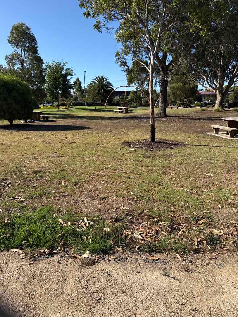 walking near me in Hadfield Park in summer