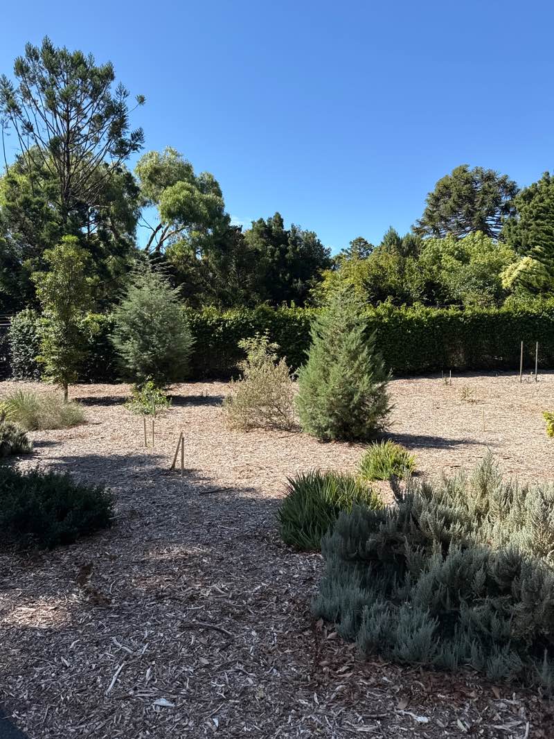 walking near me in Eastern Park in autumn
