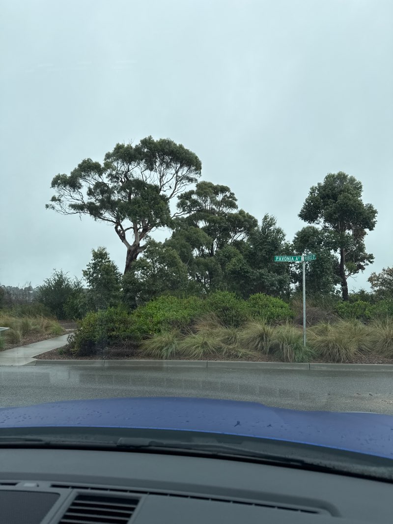 walking near me in Berry Salt Bush Drive Park in winter