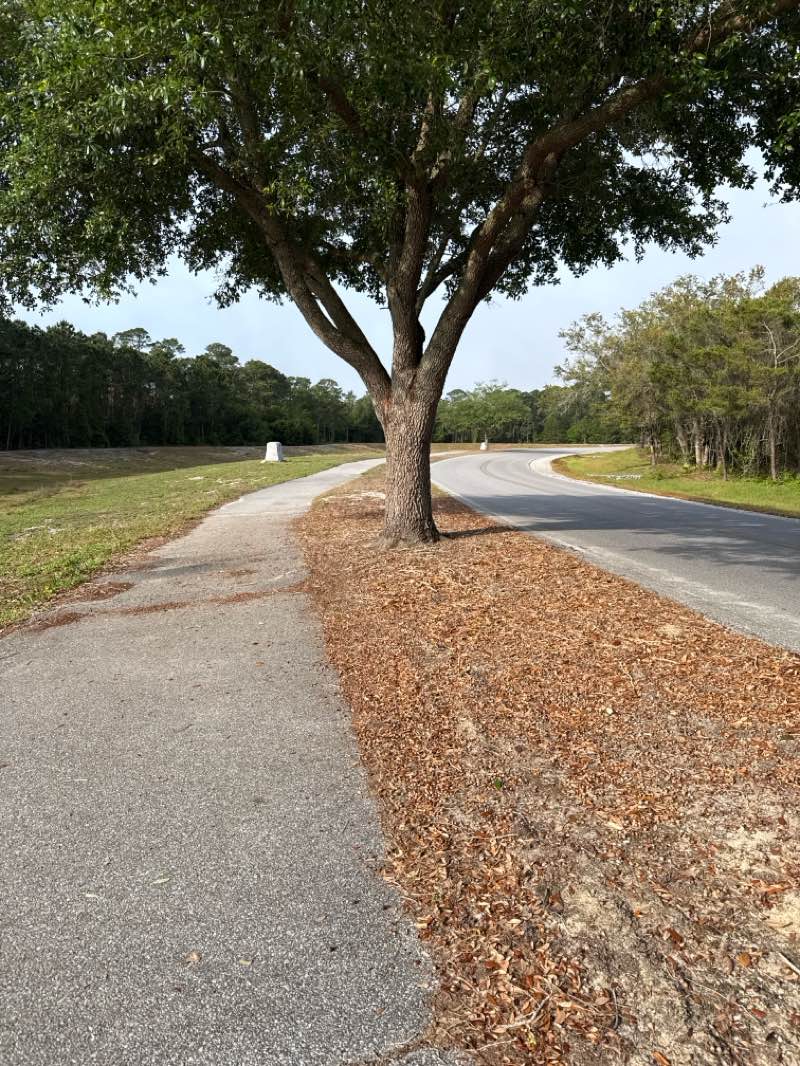 walking near me in Hurlburt Field Air Park in spring