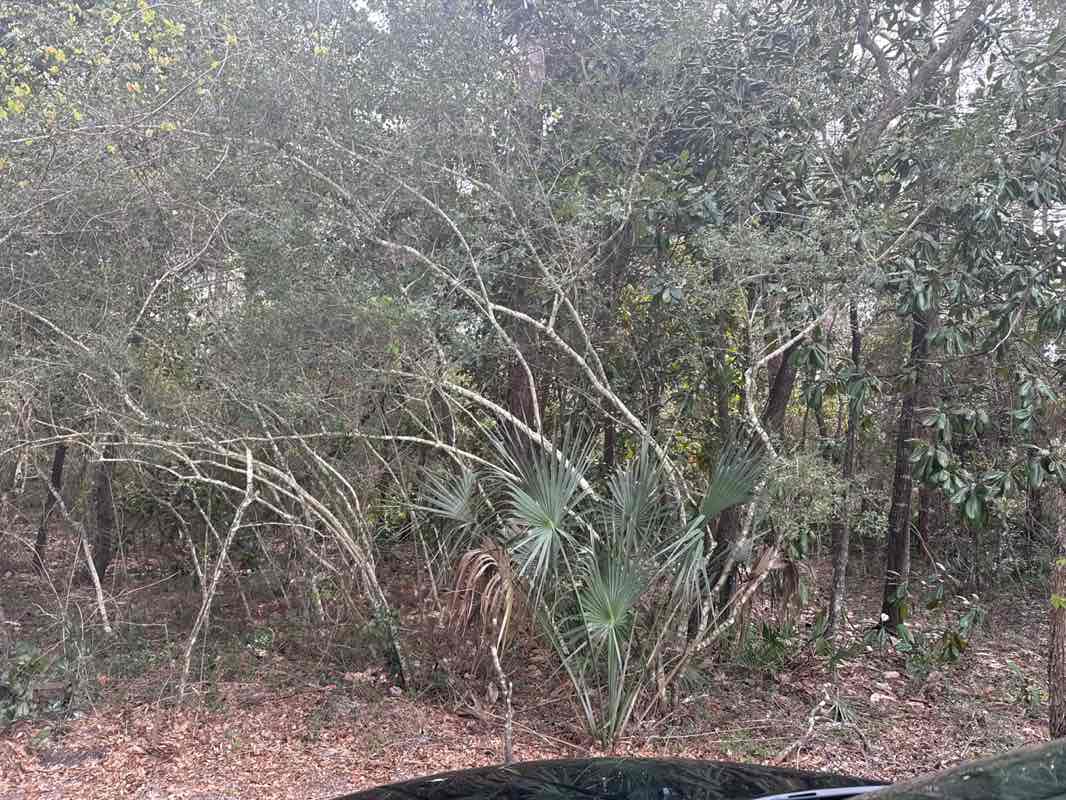 walking near me in Oak Tree Nature Park in spring