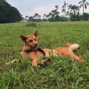 Florian Gutleben profile