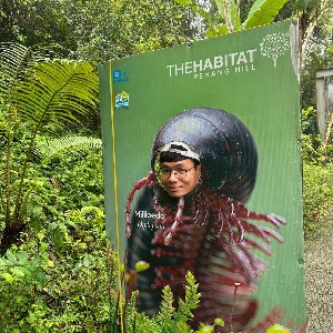 Santi Lambensa profile