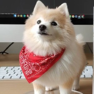 Sloth Runner_kung profile