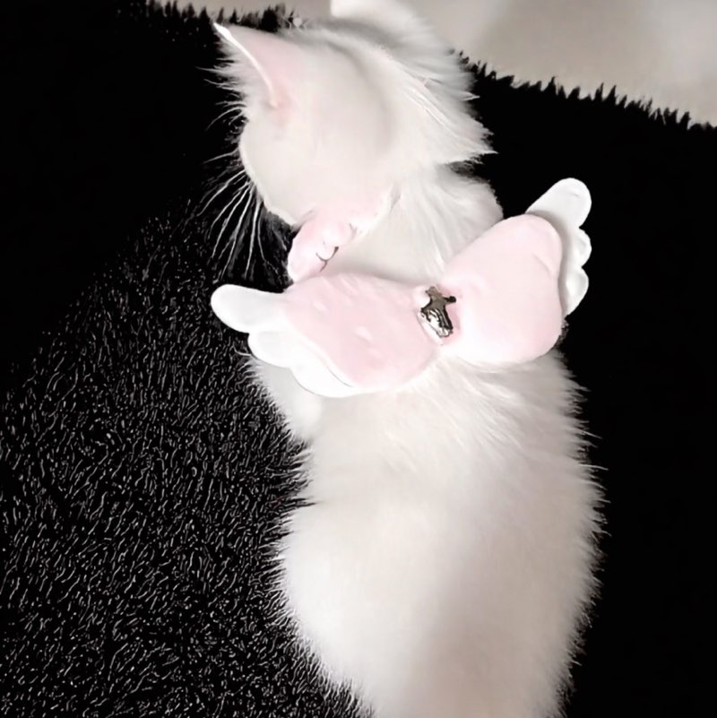 Hawazin profile