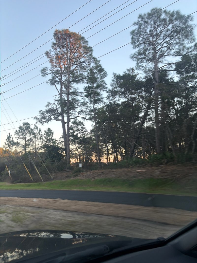 walking near me in Deer Lake State Park in winter