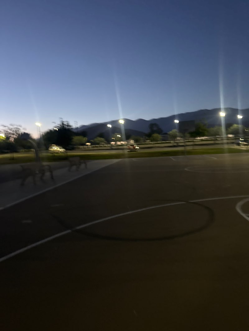 walking near me in Roosevelt Williams Park in summer