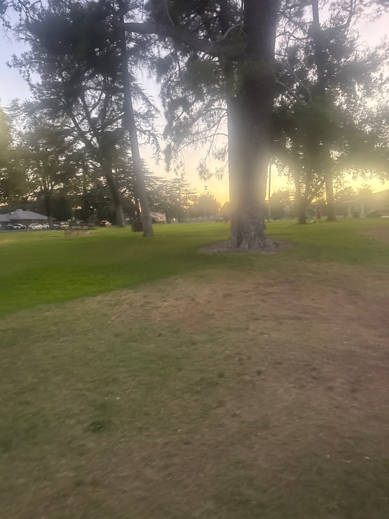 walking near me in Repplier Park in summer