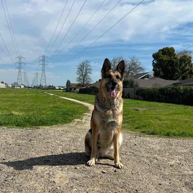 The BG’s Brittany post image