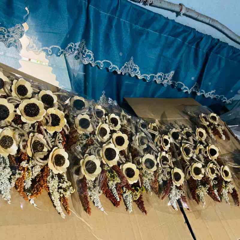 Pioneer FICS Steps Challenge Rigooooooor post image