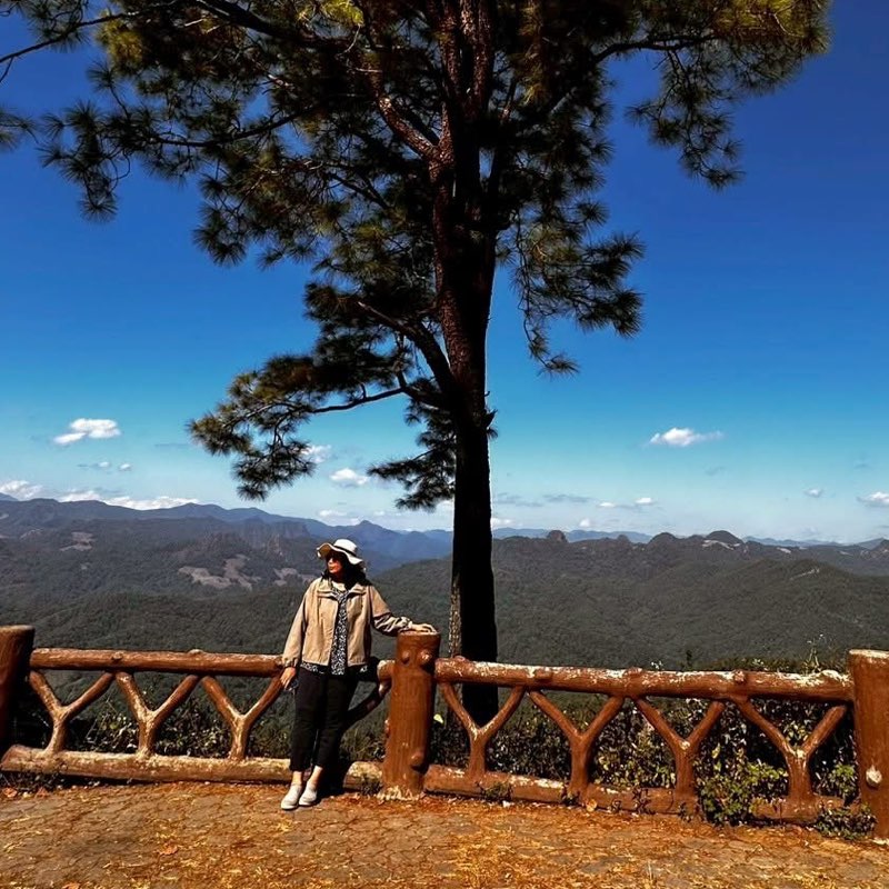 Sloth Runner_Nah profile