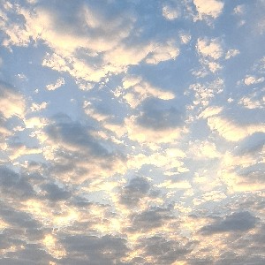 วันหลัง - Rabertz💣 profile