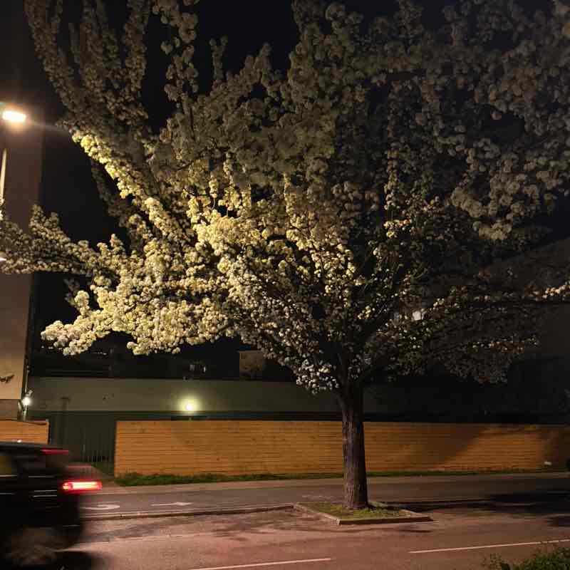 Arsh🏃‍♀️ post 1