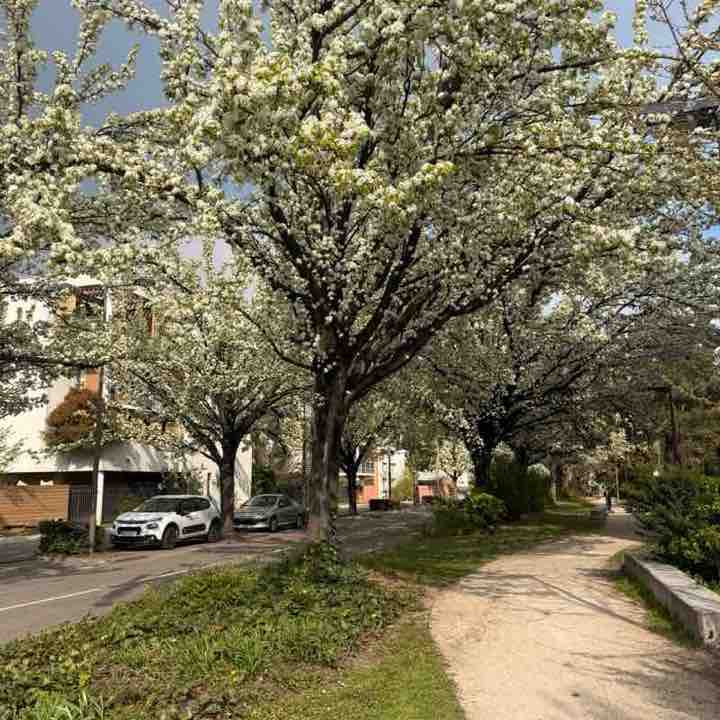 Arsh🏃‍♀️ post 2