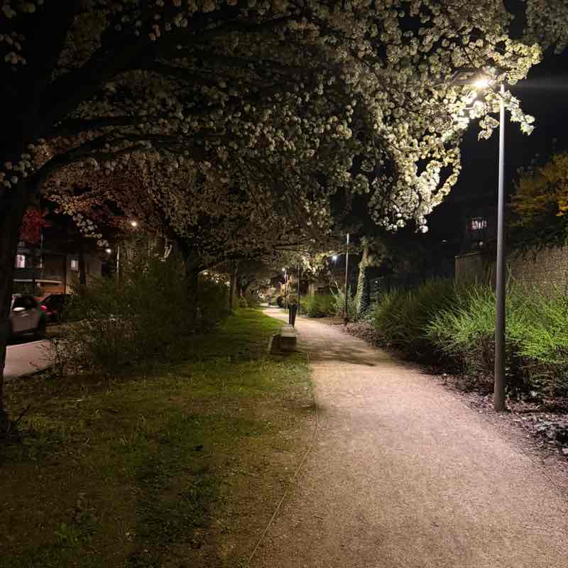 Arsh🏃‍♀️ post 2