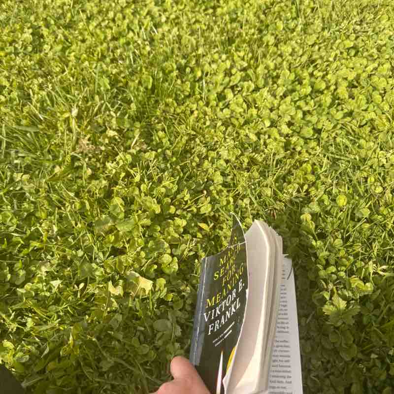 Arsh🏃‍♀️ post 2