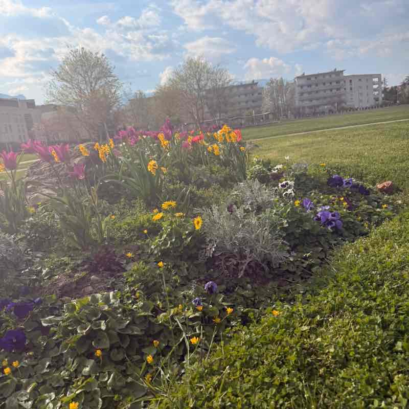 Arsh🏃‍♀️ post 1