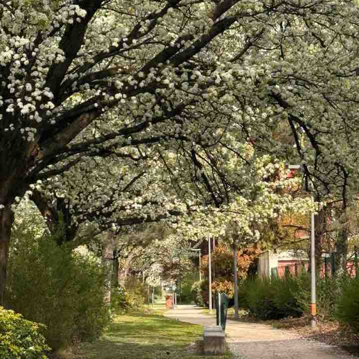 Arsh🏃‍♀️ post 1