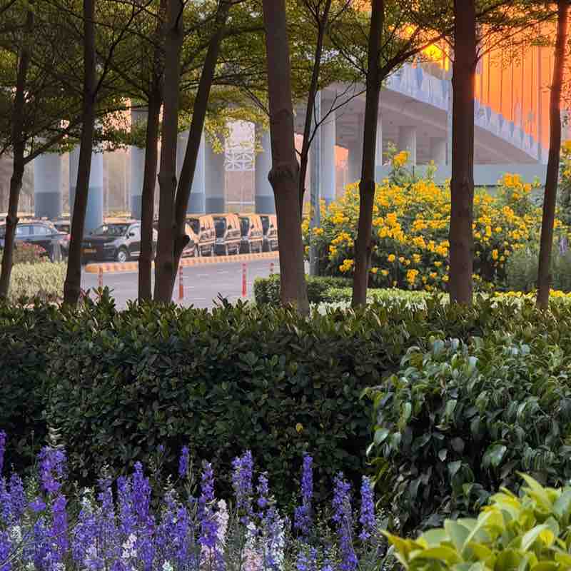 Arsh🏃‍♀️ post 2