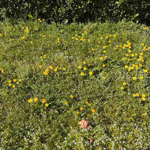 Arsh🏃‍♀️ post 1