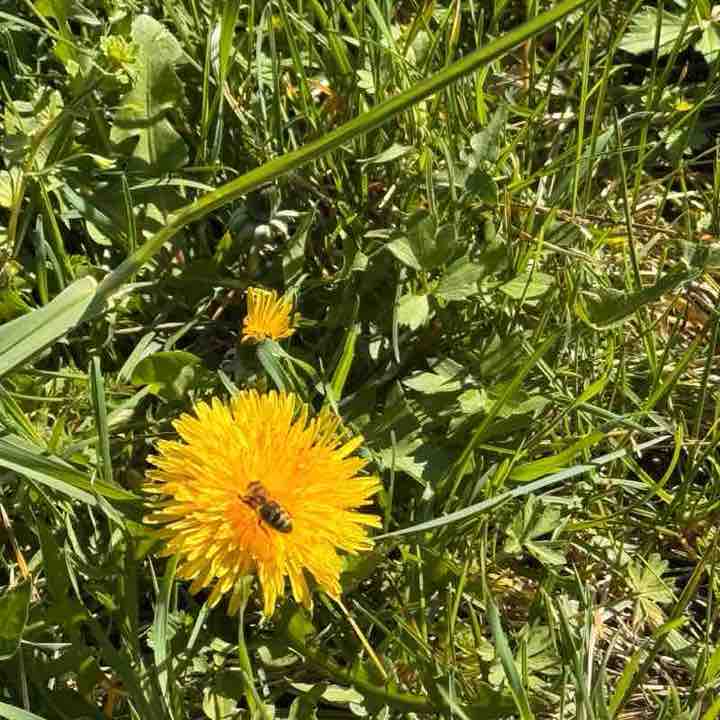 Arsh🏃‍♀️ post 2