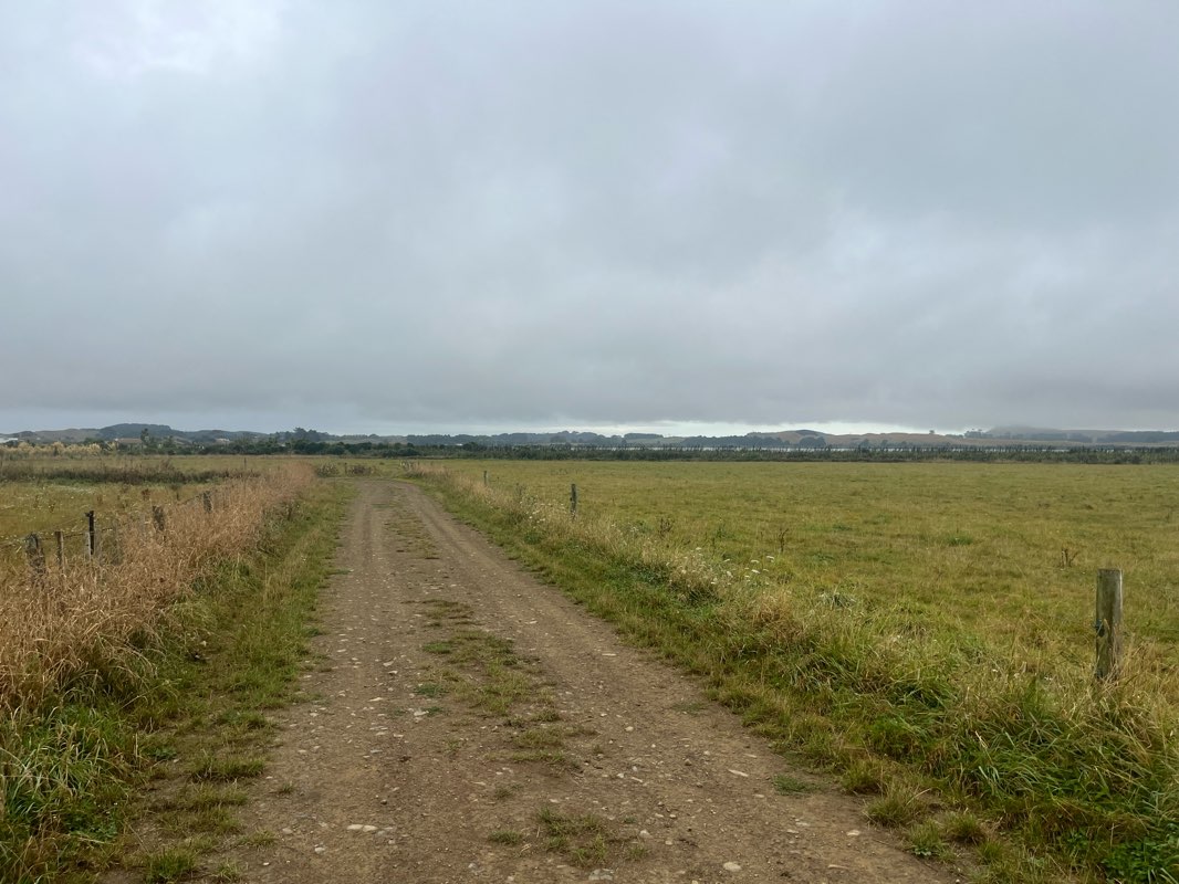 walking near me in Donnelly Park in summer
