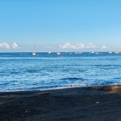 🇨🇦MONTREAL PACERS🇨🇦 Javier Maroto MoyaCR post image