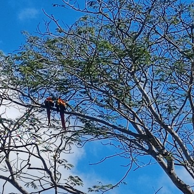 🇨🇦MONTREAL PACERS🇨🇦 Javier Maroto MoyaCR post image